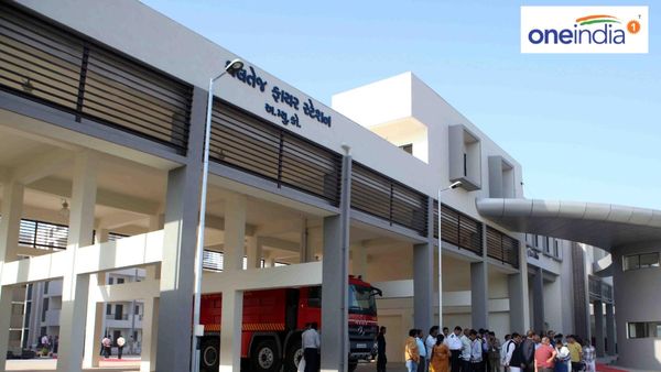 પક્ષીને બચાવવા જતા ગુમાવ્યો જીવ, અમદાવાદના ફાયર ફાઇટરનું મોત