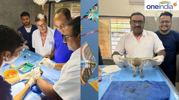 વડોદરામાં પતંગની દોરીથી ઘાયલ થયેલા 458 પક્ષીઓની કરાઇ સારવાર