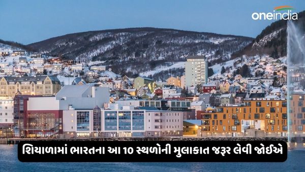 Winter Vacation Places: શિયાળામાં ભારતના આ 10 સ્થળોની મુલાકાત જરૂર લેવી જોઈએ, અદ્ભુત છે અહીંનો નજારો