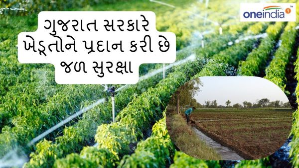 Opinion: ગુજરાત સરકારની આગવી પહેલ, ખેડૂતોને પ્રદાન કરી છે જળ સુરક્ષા