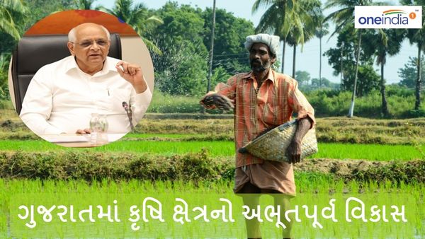 છેલ્લા બે દાયકામાં ગુજરાતમાં કૃષિ ક્ષેત્રનો થયો અભૂતપૂર્વ વિકાસ
