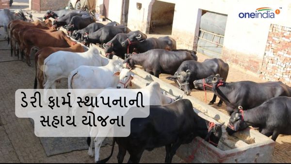 પશુપાલન કરવા માંગતા લોકોને આર્થિક સહાય આપશે ગુજરાત સરકાર