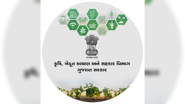 બાગાયતી ખેતી કરતા ખેડૂતોને છેલ્લા બે વર્ષમાં 47.09 લાખની સહાય ચૂકવાઇ