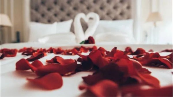 Rose day 2024: સુહાગરાત પર ગુલાબથી જ કેમ સજાવવામાં આવે છે રુમ? રોમાંસ અને વિજ્ઞાન સાથે જોડાયેલુ છે કારણ