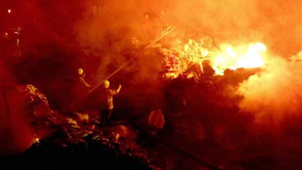 Chile Forest Fire: ચિલીના જંગલમાં આગ લાગતા 99 લોકોના મોત, સેંકડો ગુમ, 1600 ઘર બળીને રાખ