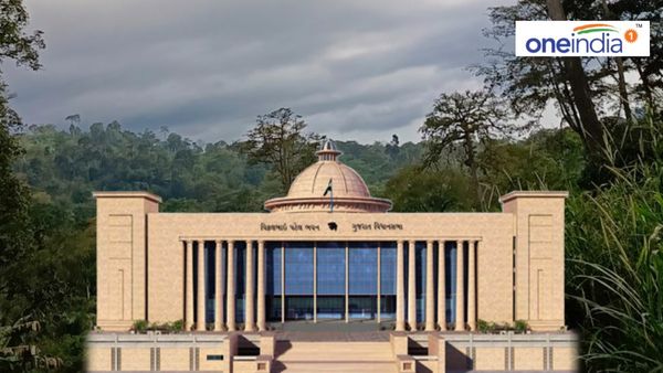 ક્લાઈમેટ ચેન્જને પહોંચી વળવા ગુજરાત સરકાર સ્થાપશે યુનિવર્સિટી