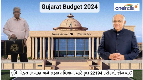 Gujarat budget 2024: કૃષિ, ખેડૂત કલ્યાણ અને સહકાર વિભાગ માટે કુલ 22194 કરોડની જોગવાઈ