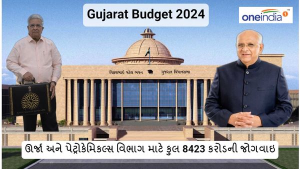 Gujarat budget 2024: ઊર્જા અને પેટ્રોકેમિકલ્સ વિભાગ માટે કુલ 8423 કરોડની જોગવાઇ
