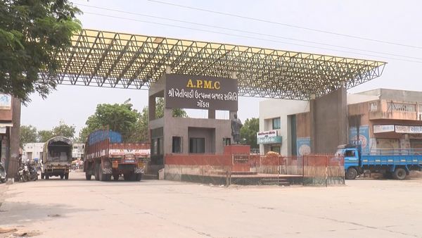 ગોંડલ માર્કેટ યાર્ડે સંપૂર્ણ ડિજિટલ બનશે, ખેડૂતોને તમામ માહિતી મોબાઈલ ફોન પર મળી જશે