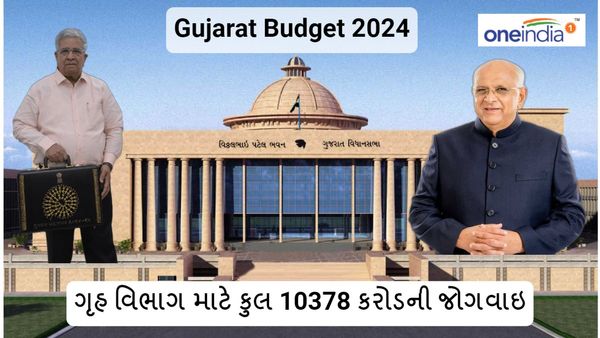 Gujarat budget 2024: ગૃહ વિભાગ માટે કુલ 10378 કરોડની જોગવાઇ