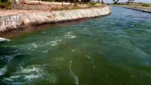 શેત્રુંજી સિંચાઇ યોજનામાં રવી-ઉનાળુ મોસમ ૨૦૨૩-૨૪ માટે પાણી મેળવવા માટે મુદત વધારાઇ