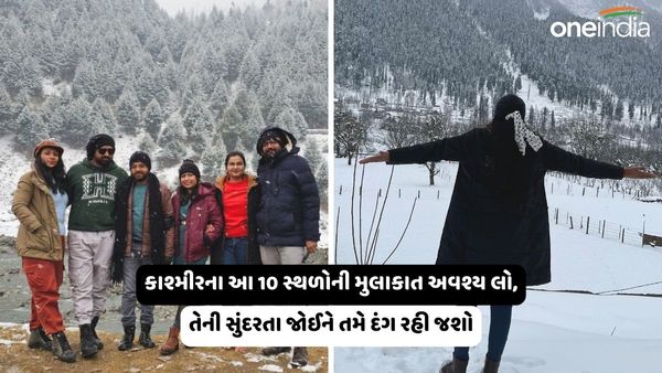 Vacation Place In Kashmir: કાશ્મીરના આ 10 સ્થળોની મુલાકાત અવશ્ય લો, તેની સુંદરતા જોઈને તમે દંગ રહી જશો