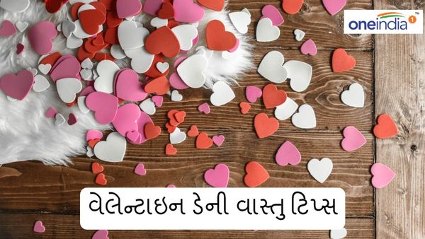વેલેન્ટાઇન ડે પર અપનાવો વાસ્તુ ટિપ્સ, લગ્નજીવન બની જશે મધુર