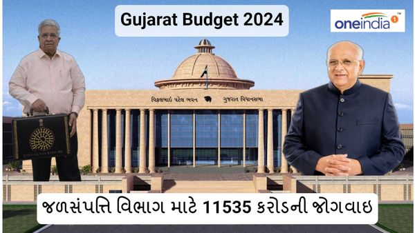 Gujarat budget 2024: જળસંપત્તિ વિભાગ માટે 11535 કરોડની જોગવાઇ