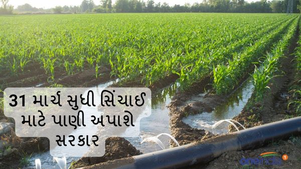 ખેડૂતો માટે સારા સમચાર, 31 માર્ચ સુધી સિંચાઈ માટે પાણી અપાશે સરકાર