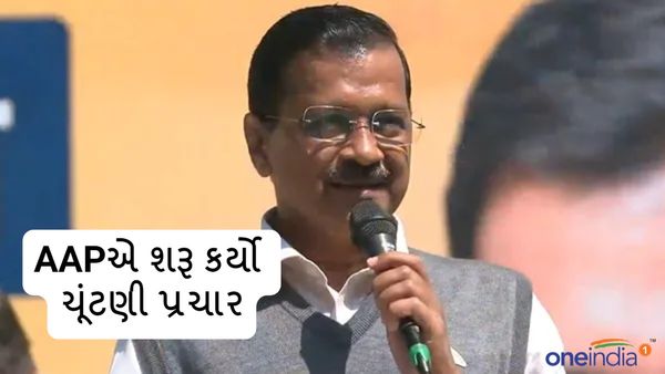 Lok Sabha Elections 2024: સંસદમાં હશે કેજરીવાલ, તો દિલ્હી હશે ખુશહાલ, AAPએ શરૂ કર્યો ચૂંટણી પ્રચાર