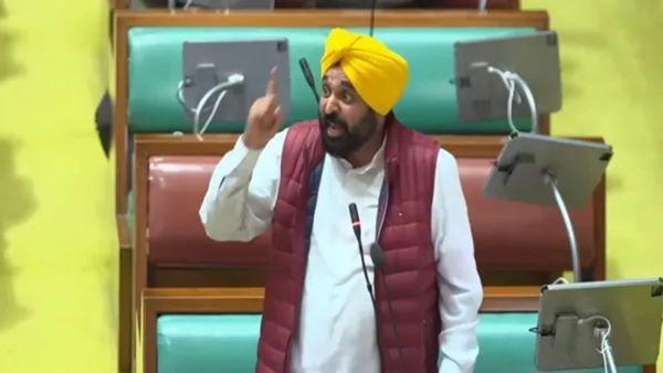 Punjab News: ફેક સર્ટિફિકેટથી નોકરી લેનારાઓ પાસેથી વ્યાજ સહિત પૈસા વસૂલશે માન સરકાર