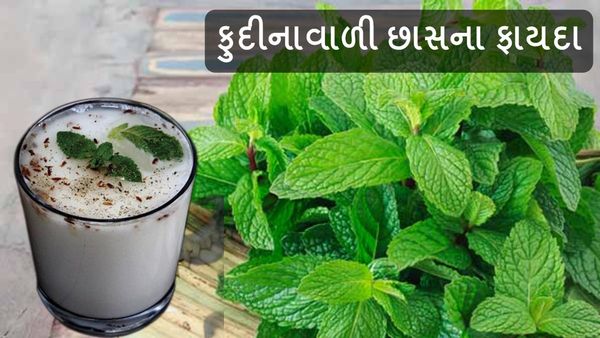 Health Tips: ખાલી પેટ પી લો ફુદીનાવાળી છાસ, દૂર થઇ જશે તમામ પેટની સમસ્યા