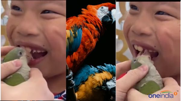 Viral Video: પોપટ બન્યો ડેન્ટિસ્ટ, આ રીતે કર્યો બાળકનો ઇલાજ
