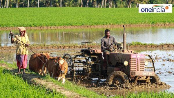 Agriculture News : બમણો પાક મેળવવા માટે કરાવો માટીની તપાસ, જાણો મહત્વ અને લાભ