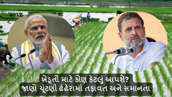 BJP Manifesto vs Congress Manifesto : ખેડૂતો માટે કોણ કેટલું આપશે? જાણો ચૂંટણી ઢંઢેરામાં તફાવત અને સમાનતા
