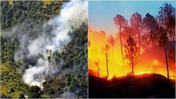 Forest Fire: ઉત્તરાખંડના જંગલોની આગ બની વિકરાળ, નૈનીતાલની હાઈકોર્ટ કોલોની સુધી પહોંચી જ્વાળાઓ