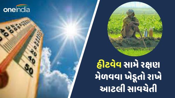 હીટવેવ સામે રક્ષણ મેળવવા ખેડૂતો રાખે આટલી સાવચેતી