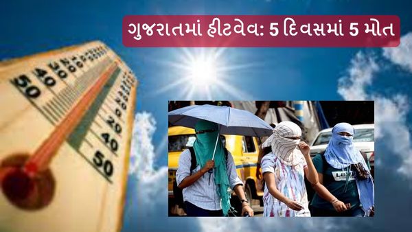 ગુજરાતમાં હીટવેવ: 5 દિવસમાં 5 મોત, તો 9 દિવસમાં 1549 લોકો થયા બેભાન