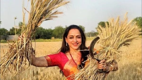 Lok Sabha Elections 2024: હેમા માલિનીએ આકરા તડકામાં કાંજીવરમની સાડી પહેરીને ખેતરમાં કરી કાપણી, જુઓ Pics