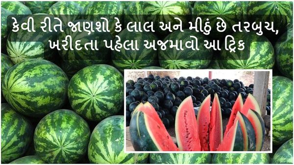 How to Identify Sweet Watermelon: કેવી રીતે જાણશો કે લાલ અને મીઠું છે તરબુચ, ખરીદતા પહેલા અજમાવો આ ટ્રિક