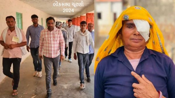 Rajasthan Voting: મતદાન કરતા 3 લોકોને કરડ્યું કુતરું, મતદાન મથક પર મધુમાખીઓએ કર્યો હુમલો