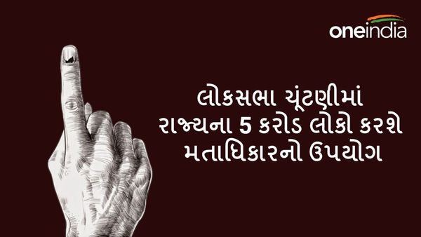 Lok Sabha election 2024 : લોકસભા ચૂંટણીમાં રાજ્યના 5 કરોડ લોકો કરશે મતાધિકારનો ઉપયોગ