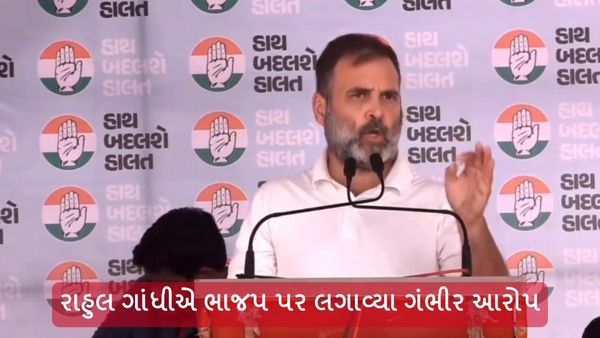Lok Sabha Election 2024: રાહુલ ગાંધીએ ભાજપ પર લગાવ્યા ગંભીર આરોપ