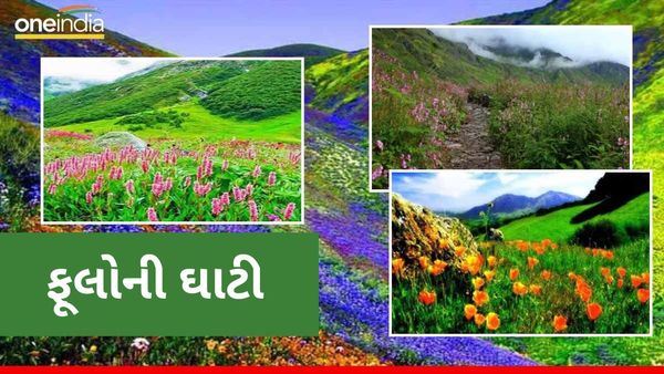 Sikkim Travel: ઉનાળામાં ફરવા માટે છે બેસ્ટ સિક્કિમની યુમથાંગ વેલી, જ્યાં છે ફૂલોની ઘાટી