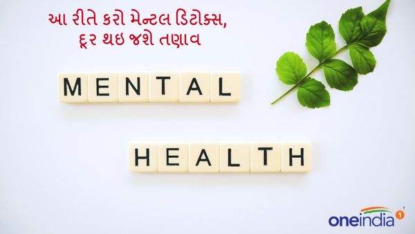 Mind Detox Tips : આ રીતે કરો મેન્ટલ ડિટોક્સ, દૂર થઇ જશે તણાવ