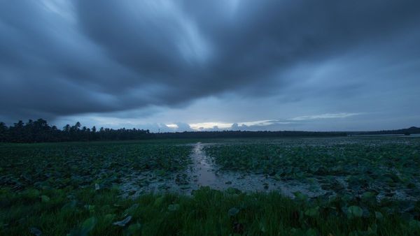 1 જૂન સુધી આ જિલ્લાઓમાં ભારે પવન જોવા મળશે, ગરમી 2 ડિગ્રી સુધીનો ઘટશે