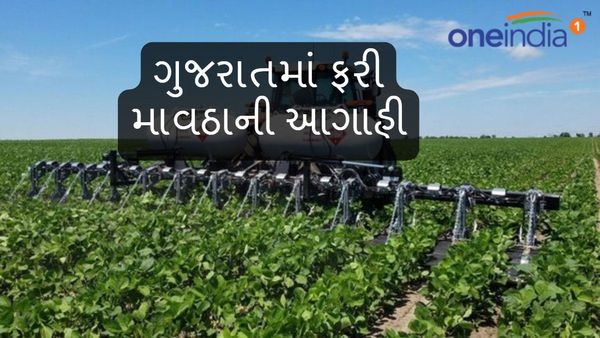 Gujarat Weather Update: 16 મે સુધી ગુજરાતમાં કમોસમી વરસાદની આગાહી