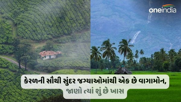 Places to Visit in Vagamon: કેરળની સૌથી સુંદર જગ્યાઓમાંથી એક છે વાગામોન, જાણો ત્યાં શું છે ખાસ
