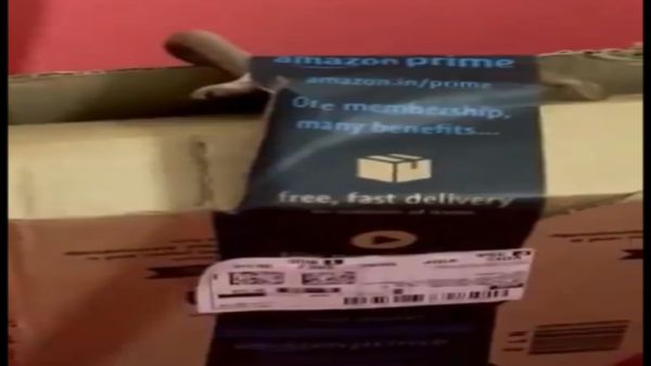 લો બોલો! Xbox Controller મંગાવ્યું અને Amazon એ મોકલ્યો કોબ્રા