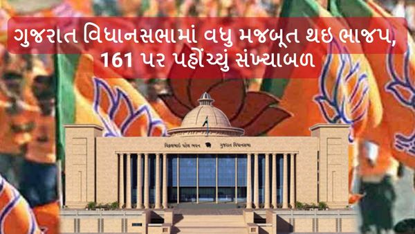 Gujarat assembly bypoll 2024: ગુજરાત વિધાનસભામાં વધુ મજબૂત થઇ ભાજપ, 161 પર પહોંચ્યું સંખ્યાબળ