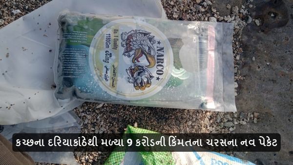 Gujarat Crime News: કચ્છના દરિયાકાંઠેથી મળ્યા 9 કરોડની કિંમતના ચરસના નવ પેકેટ