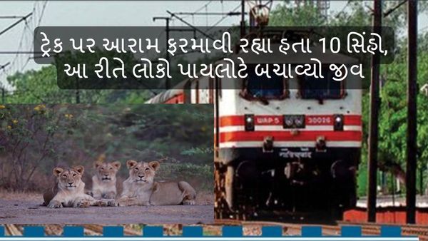 ટ્રેક પર આરામ ફરમાવી રહ્યા હતા 10 સિંહો, આ રીતે લોકો પાયલોટે બચાવ્યો જીવ