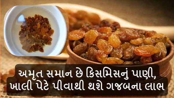 Health tips in gujarati: અમૃત સમાન છે કિસમિસનું પાણી, ખાલી પેટે પીવાથી થશે ગજબના લાભ