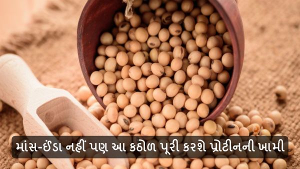 Health Tips in Gujarati: માંસ-ઈંડા નહીં પણ આ કઠોળ પૂરી કરશે પ્રોટીનની ખામી, વધશે મસલ્સ