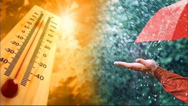 Weather Update:દિલ્લીમાં બે દિવસ ગરમીનુ રેડ એલર્ટ, સમગ્ર ઉત્તર ભારતમાં લૂની સ્થિતિ યથાવત