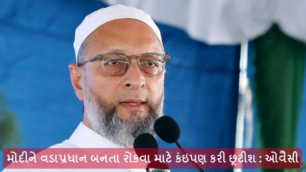 મોદીને વડાપ્રધાન બનતા રોકવા માટે કંઇપણ કરી છૂટીશ : ઓવૈસી
