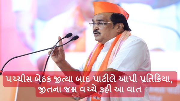 Lok Sabha Election Results 2024: પચ્ચીસ બેઠક જીત્યા બાદ પાટીલે આપી પ્રતિક્રિયા, જીતના જશ્ન વચ્ચે કહી આ વાત