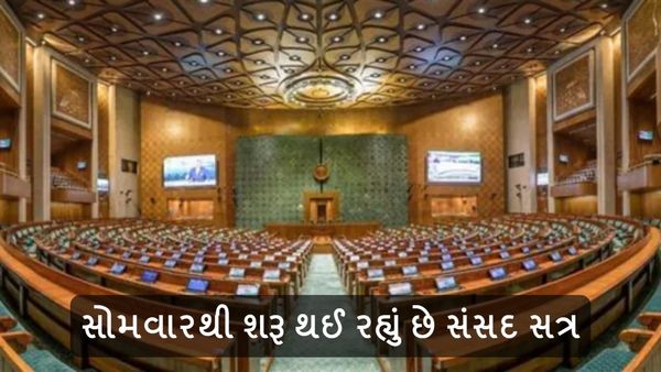 Parliament Security: સોમવારથી શરૂ થઈ રહ્યું છે સંસદ સત્ર, પાસ સ્કેન કર્યા વગર કેવી રીતે થશે એન્ટ્રી?