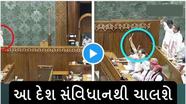 Parliament Session 2024: PM મોદીના શપથ દરમિયાન રાહુલ ગાંધીએ લહેરાવ્યું સંવિધાન, જુઓ વાયરલ વીડિયો