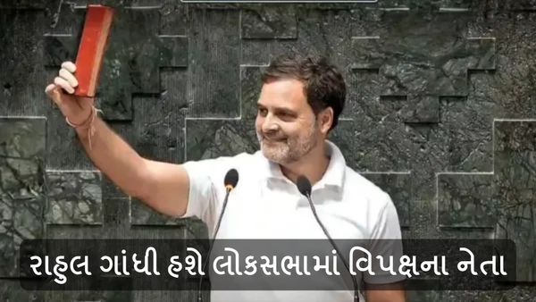 Opposition Leader in Lok Sabha: રાહુલ ગાંધી હશે લોકસભામાં વિપક્ષના નેતા, INDIA ગઠબંધનની બેઠકમાં લેવાયો નિર્ણય